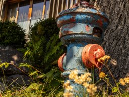Fotowalk - Bodensdorf - Carinthia Austria